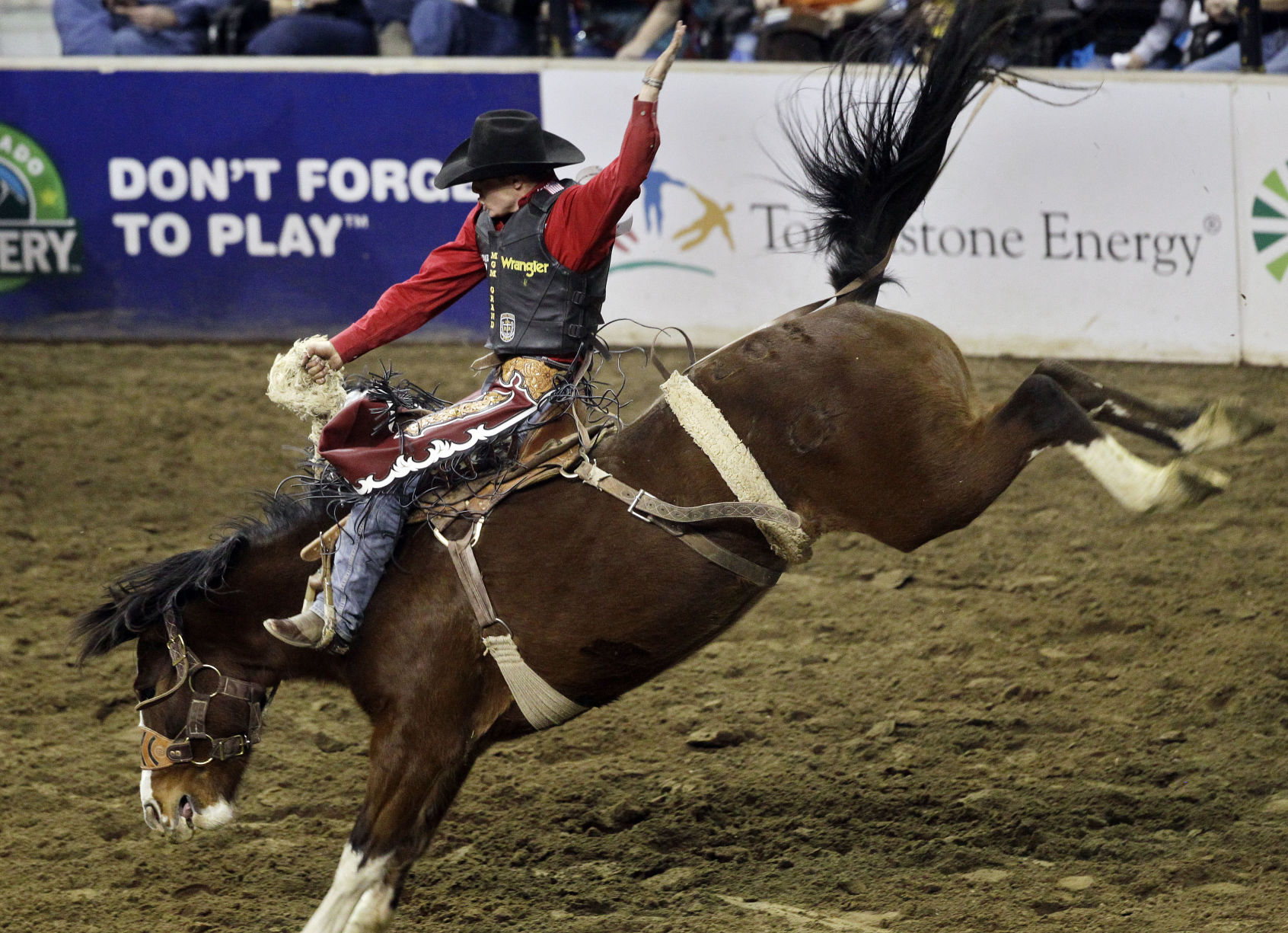 National western stock show